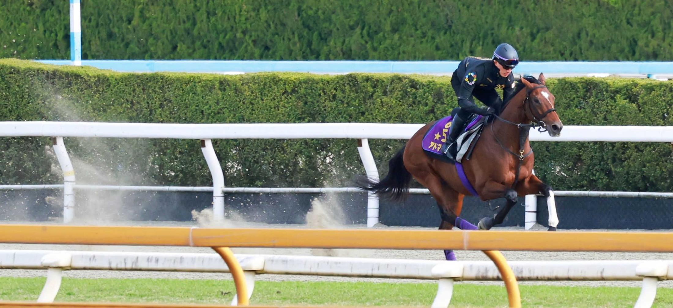 マイラーズC】アドマイヤズーム 再起へ鋭伸 友道師「2歳時のいい頃に