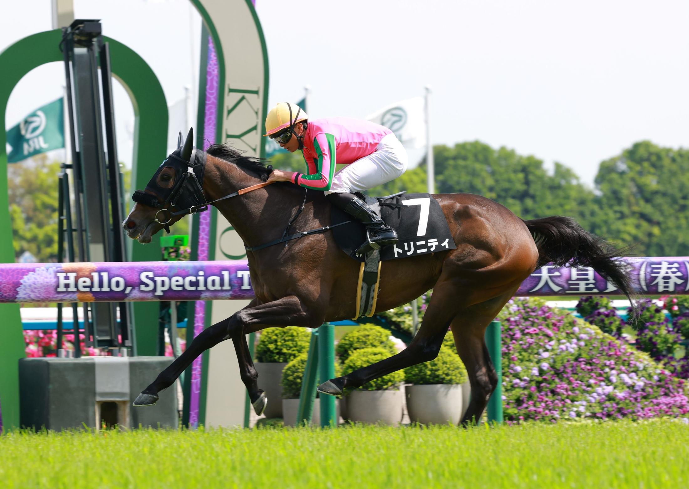 矢車賞】トリニティ 1馬身差快勝 岩田望「自分のリズムでしぶとく粘れ