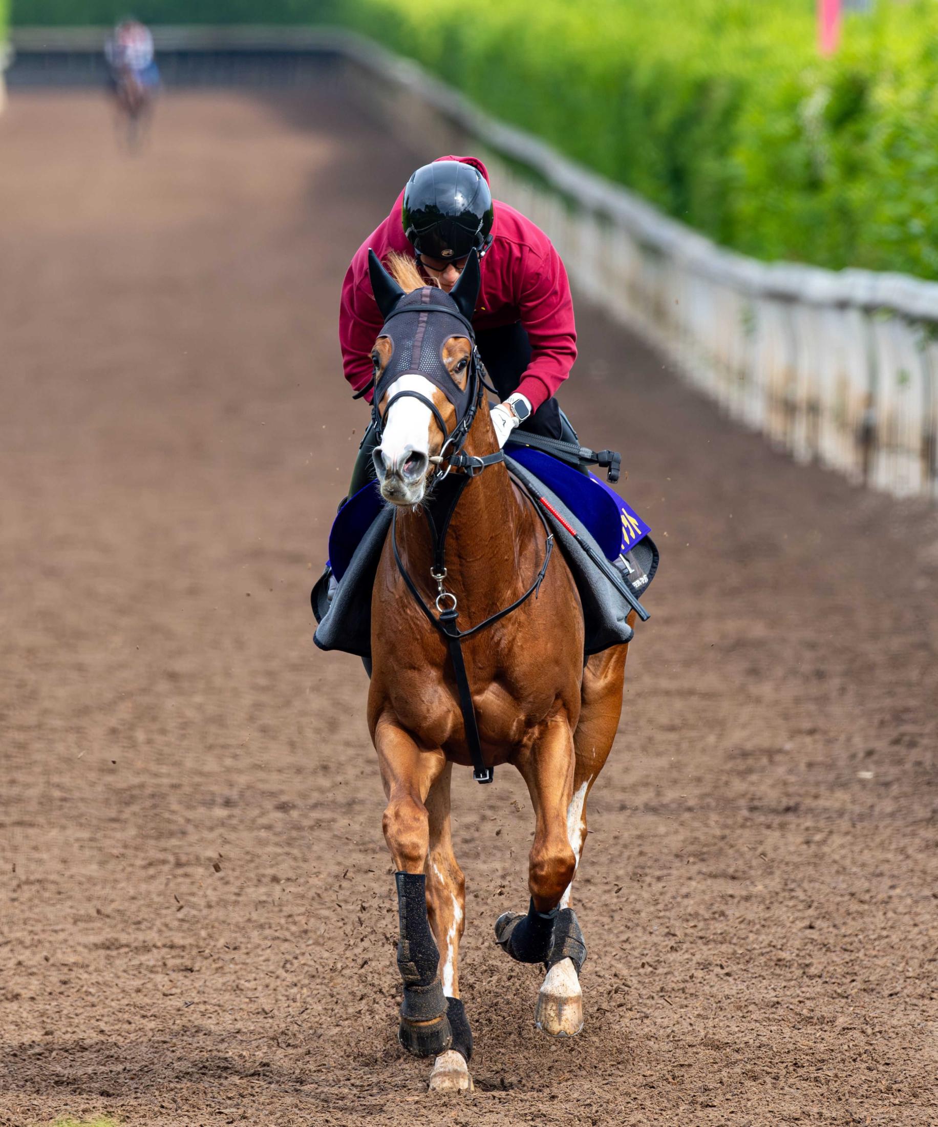 NHKマイルC】ダイヤモンドノット 福永厩舎初のJRA・G1制覇へ
