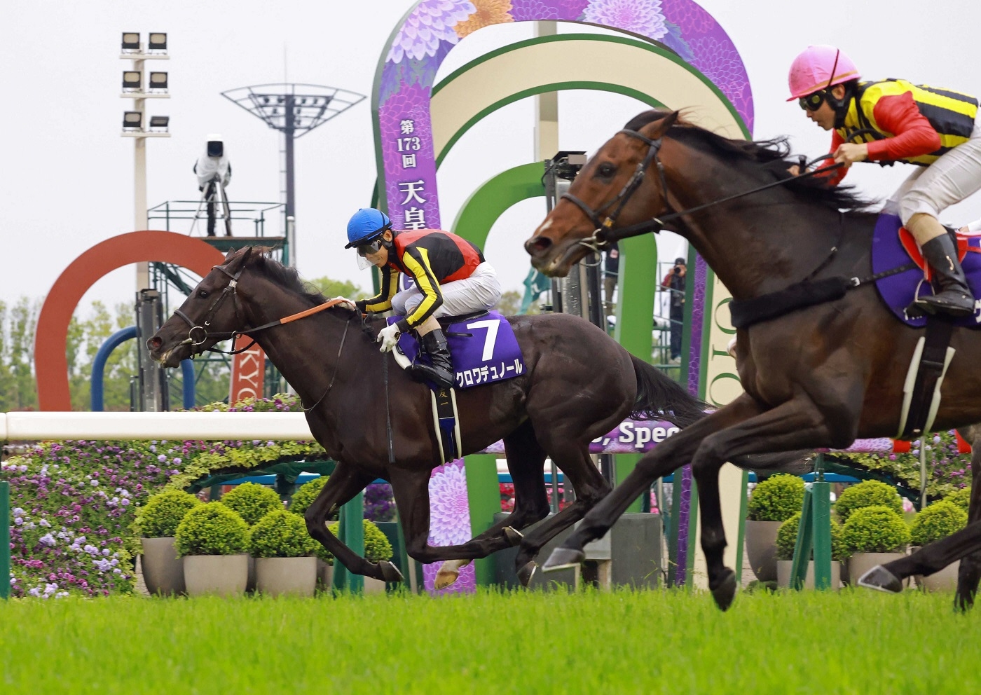 宝塚記念ファン投票 1位は大阪杯＆天皇賞・春を連勝のクロワデュ