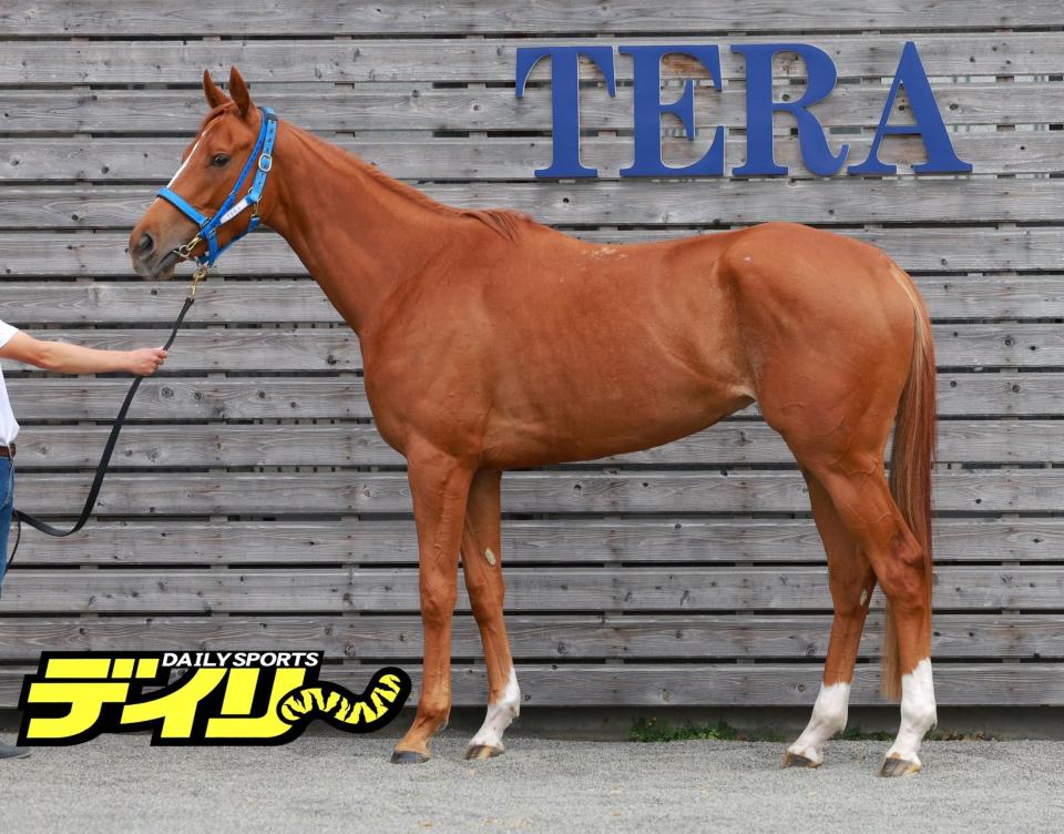 ジュウリョクピエロ　【競馬フィギュア】 オークス馬体診断】ジュウリョクピエロ（デイリースポーツ） - Yahoo