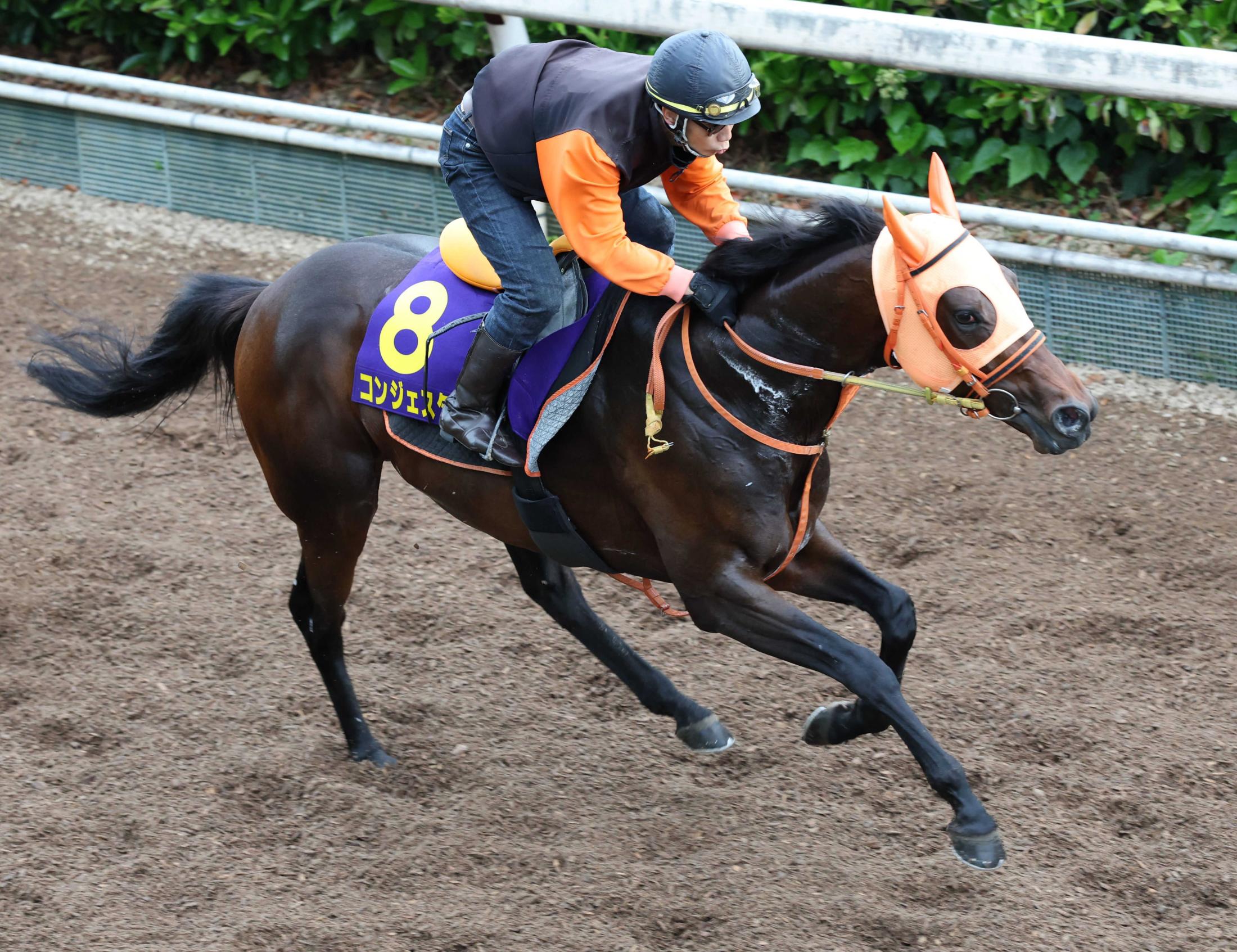 日本ダービー】コンジェスタス 親子三代無敗ダービー馬へ 「その血は