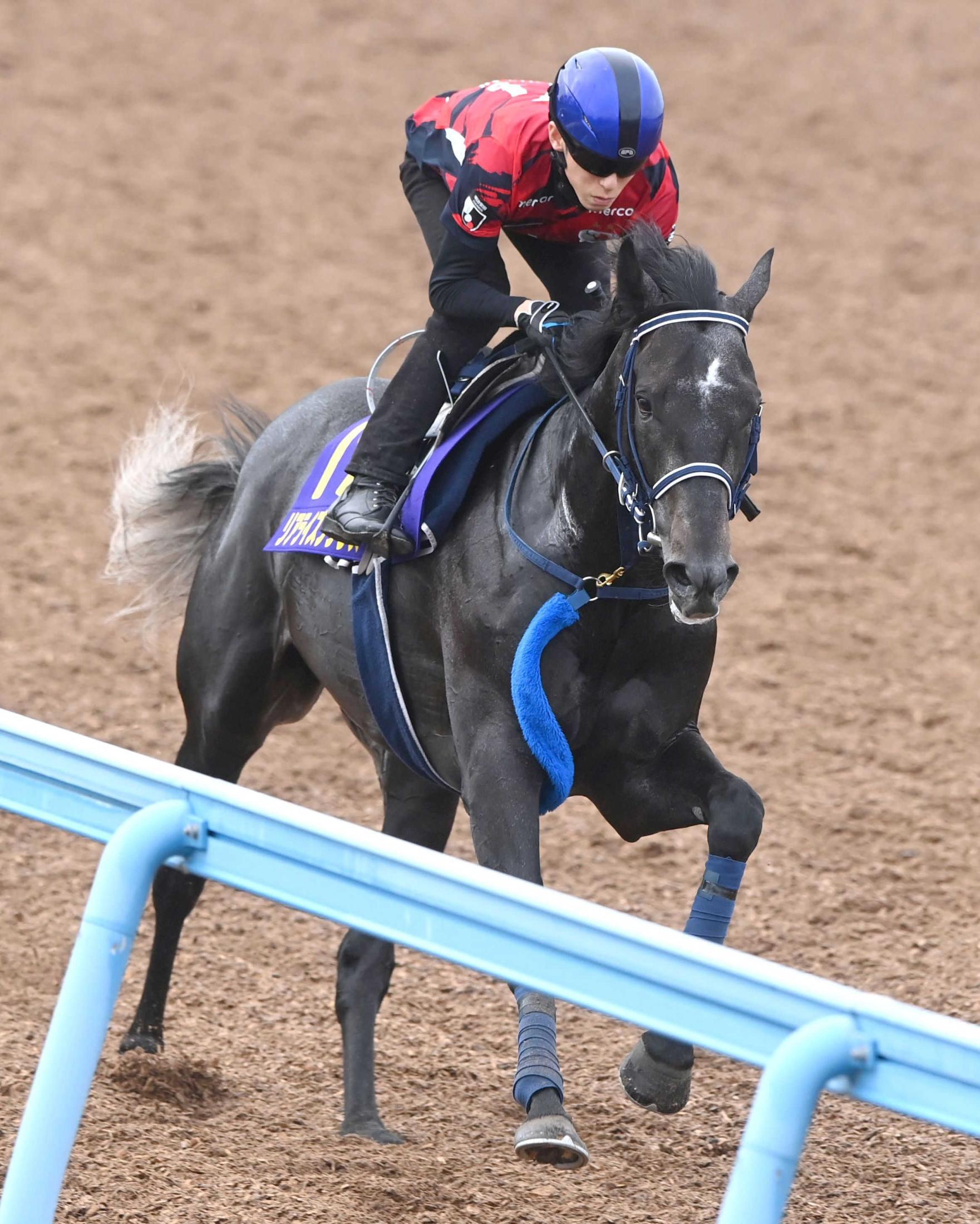 日本ダービー】リアライズシリウス逆転戴冠へ「いい状態」 津村