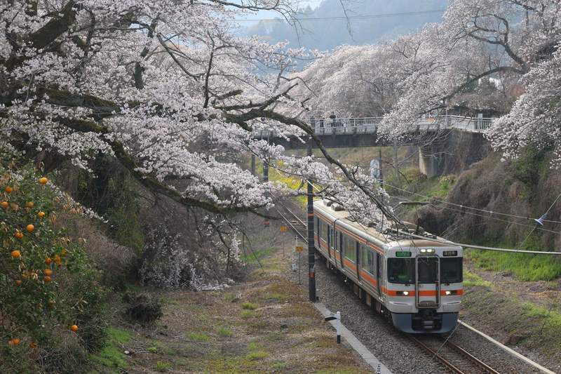 200キロ近いJR飯田線を1本の普通列車で7時間乗り通してみた