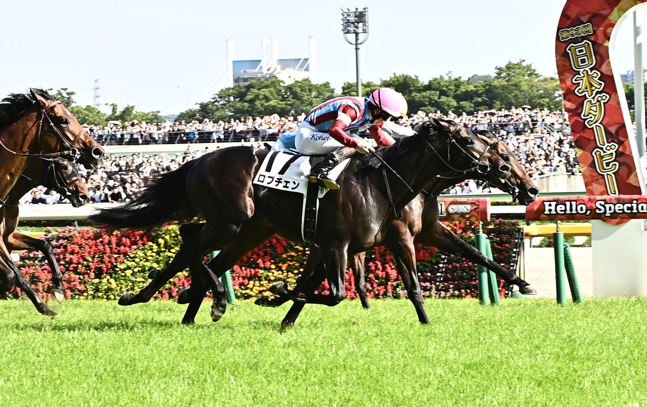 日本ダービー】ロブチェン2冠！杉山晴師、デアリングタクトで牝馬3冠