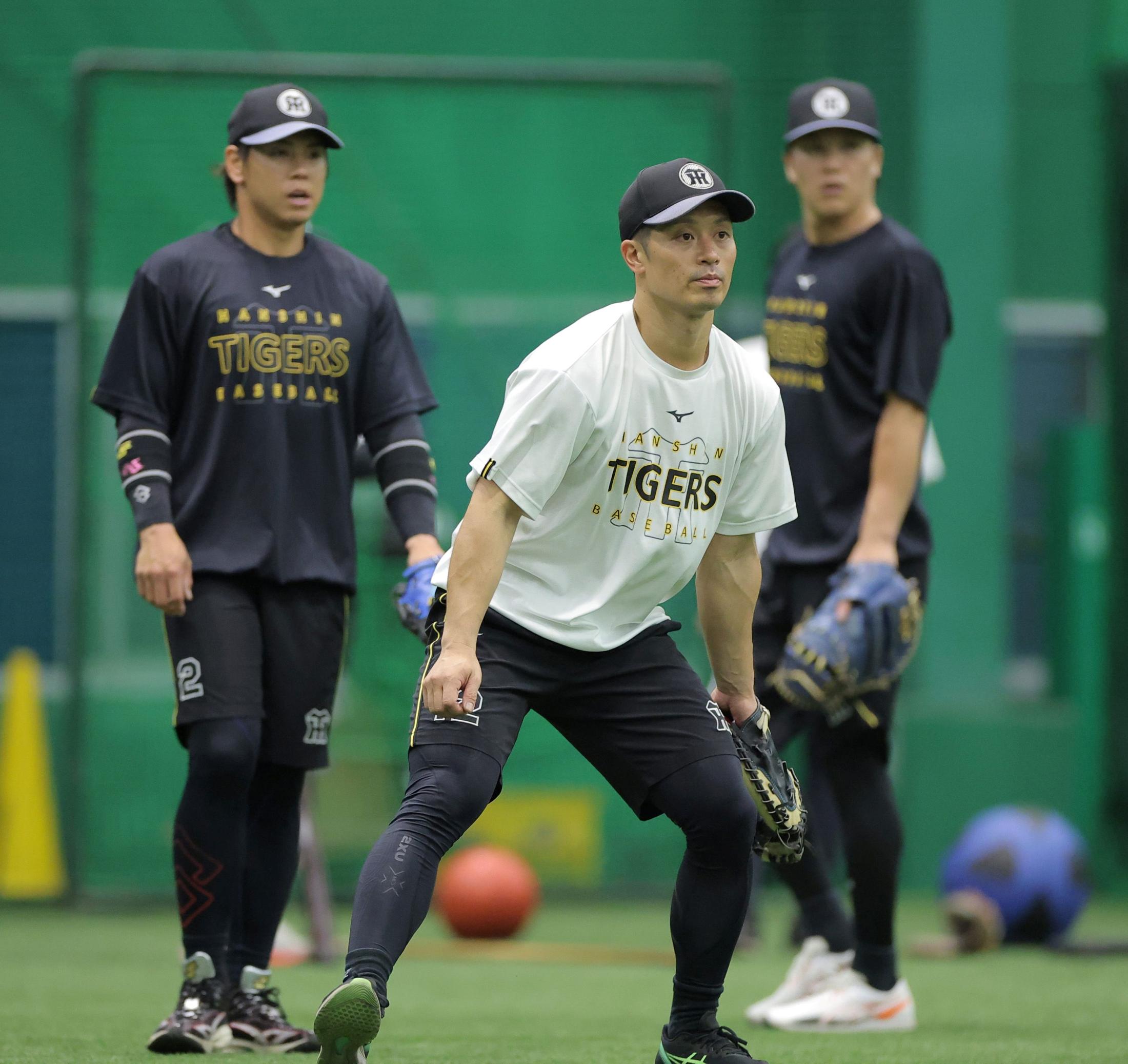 阪神の捕手事情 坂本、伏見、梅野の“日替わり起用”でこのまま突っ走れ