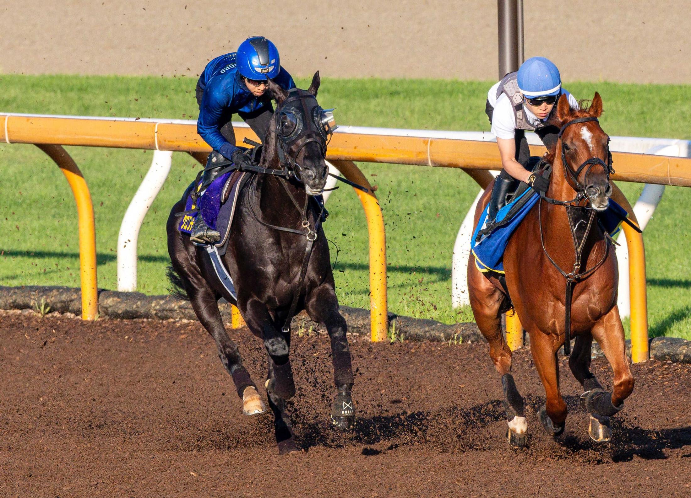 宝塚記念】クロワデュノール 春の古馬3冠へ上昇 加速力強く併入 数