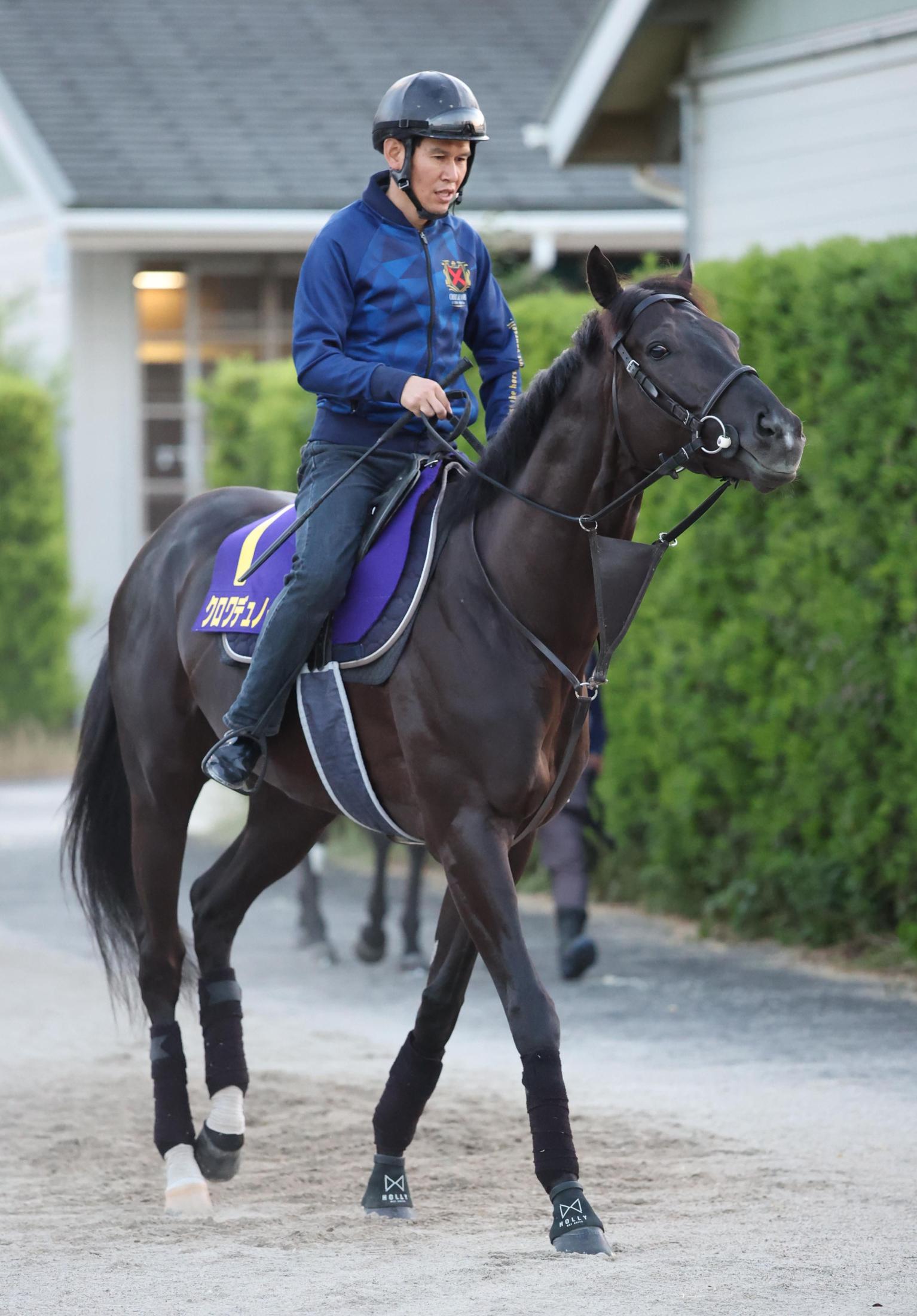 宝塚記念】クロワデュノールは3枠5番 春の古馬3冠制覇へ斉藤崇師