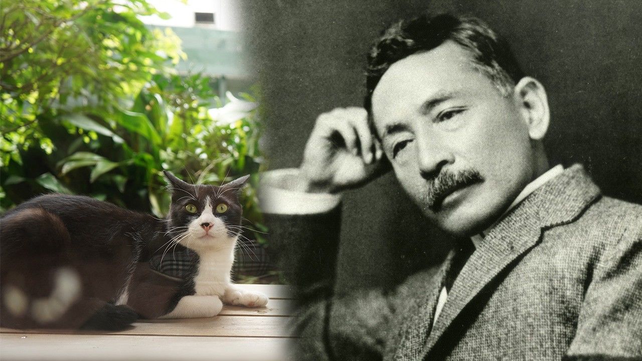 日本近代文学の爆発を引き起こした「名前のない猫」：夏目漱石の『吾輩