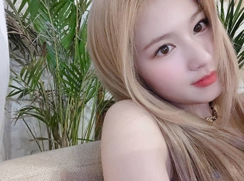 【芸能】ショーツ露出、TWICE・サナが“スカートめくれ”事故に心境吐露「開いた状態で撮られていたなんて…」のサムネイル