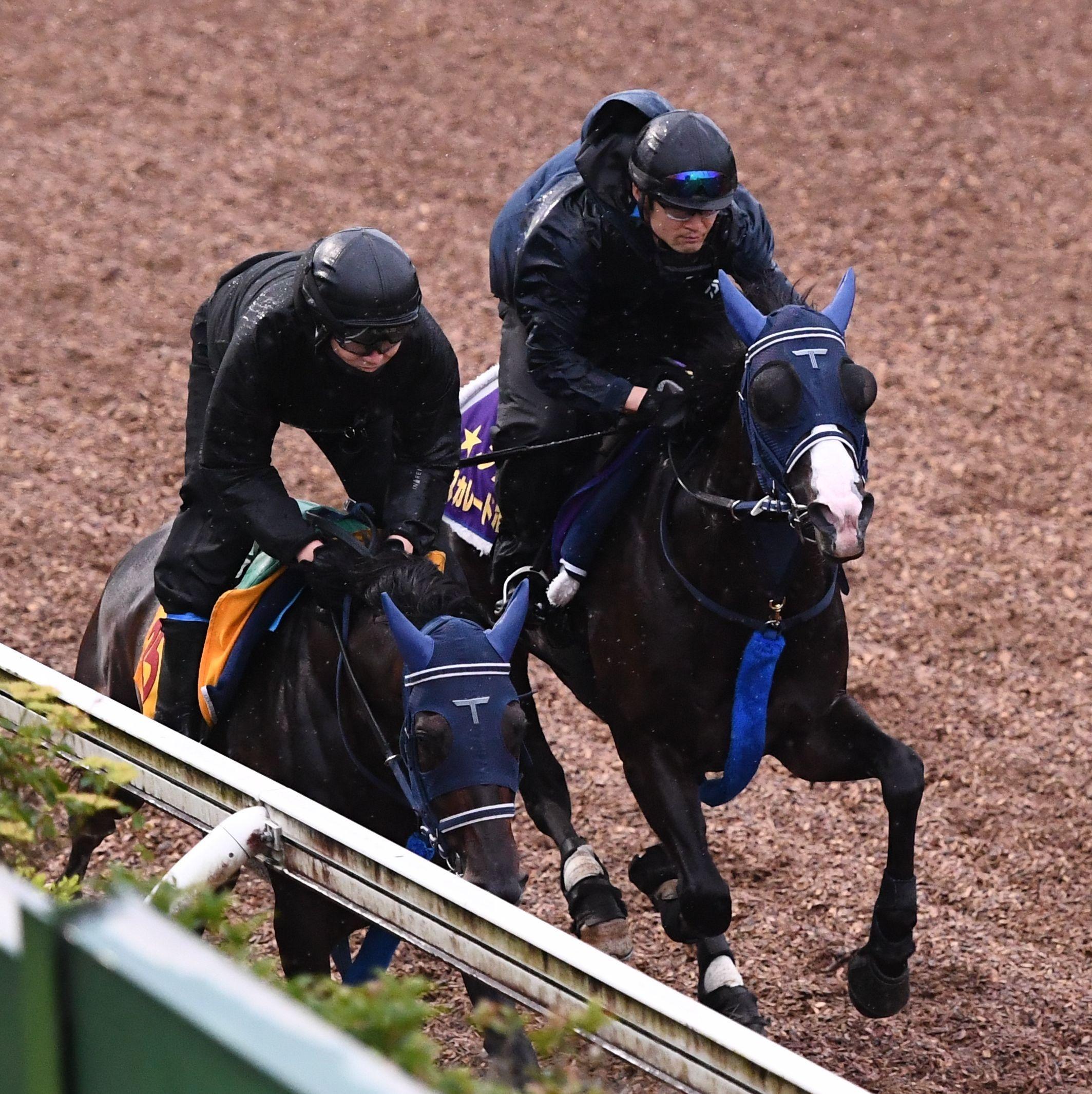 ハーツクライ　キングジョージ６世＆クイーンエリザベス　名前入り単勝馬券　的中馬券 英G1キングジョージ6世＆クイーンエリザベスSに参戦する