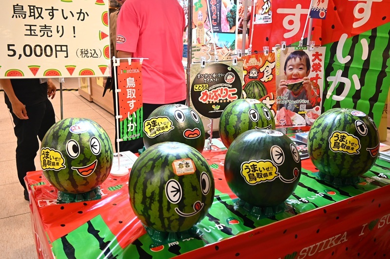 本日中に売れなければ300円 スイカ大手作り額付「月に誓ってお仕置きニャンコ」 スイカ食べて「スイカッ（スカッ）と」して 夏の水分補給に、鳥取県が