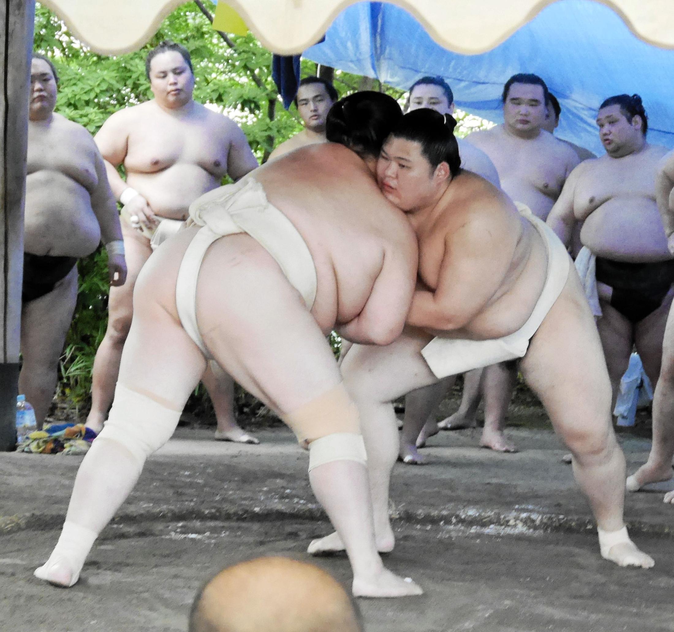 大の里が復調アピ 琴桜相手に11連勝「感触はいい。立ち合いも悪く