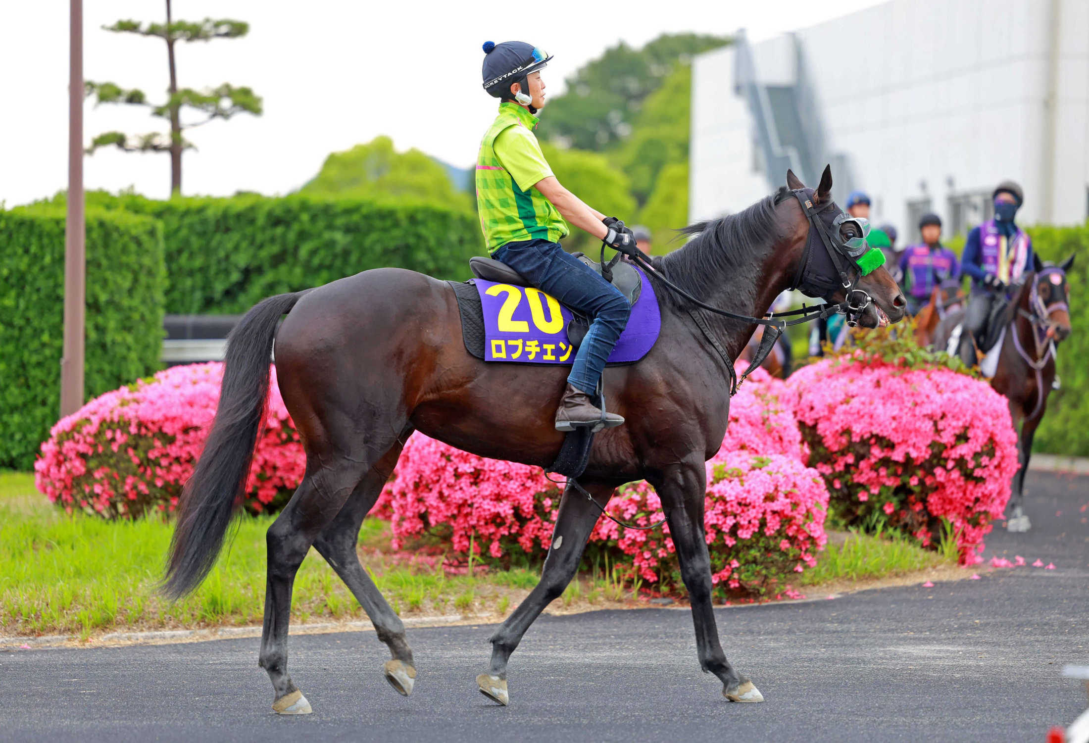 【3冠リーチ】皐月賞 ロブチェン　がんばれ馬券　払い戻し不可　期限切れ 3歳馬トップは皐月賞＆ダービーの2冠を達成したロブチェン 26年度