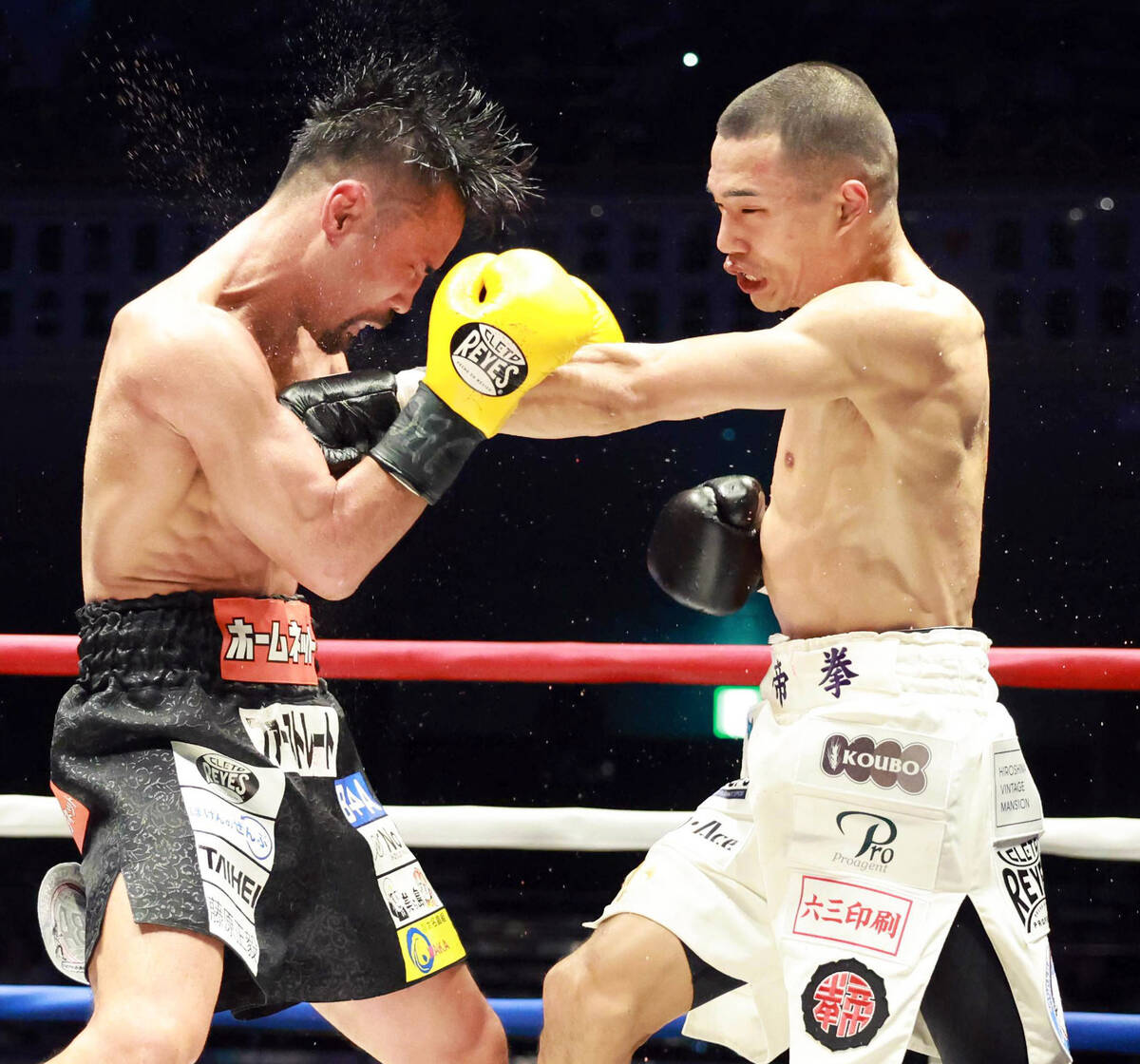 ボクシング】増田陸、比嘉大吾との王座決定戦で勝利「絶対にもっと強く 