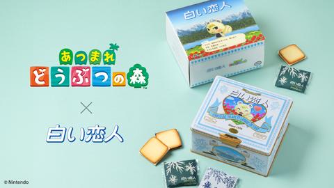 白い恋人 限定デザイン缶　コラボ　限定　ソダシ缶 白い恋人「どうぶつの森」コラボ缶が8月14日より販売決定！ ジュンが