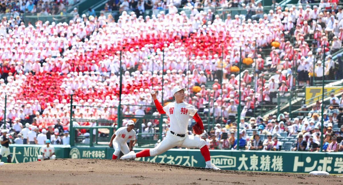 智辯和歌山 甲子園出場 優勝記念 レア希少商品 智辯和歌山 甲子園出場