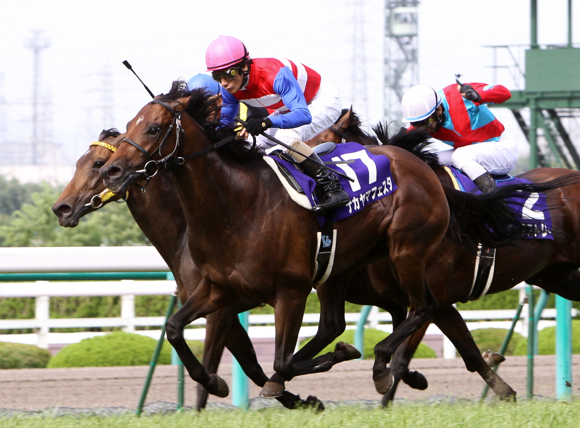 10年宝塚記念V＆凱旋門賞2着ナカヤマフェスタ死す 20歳 衰弱