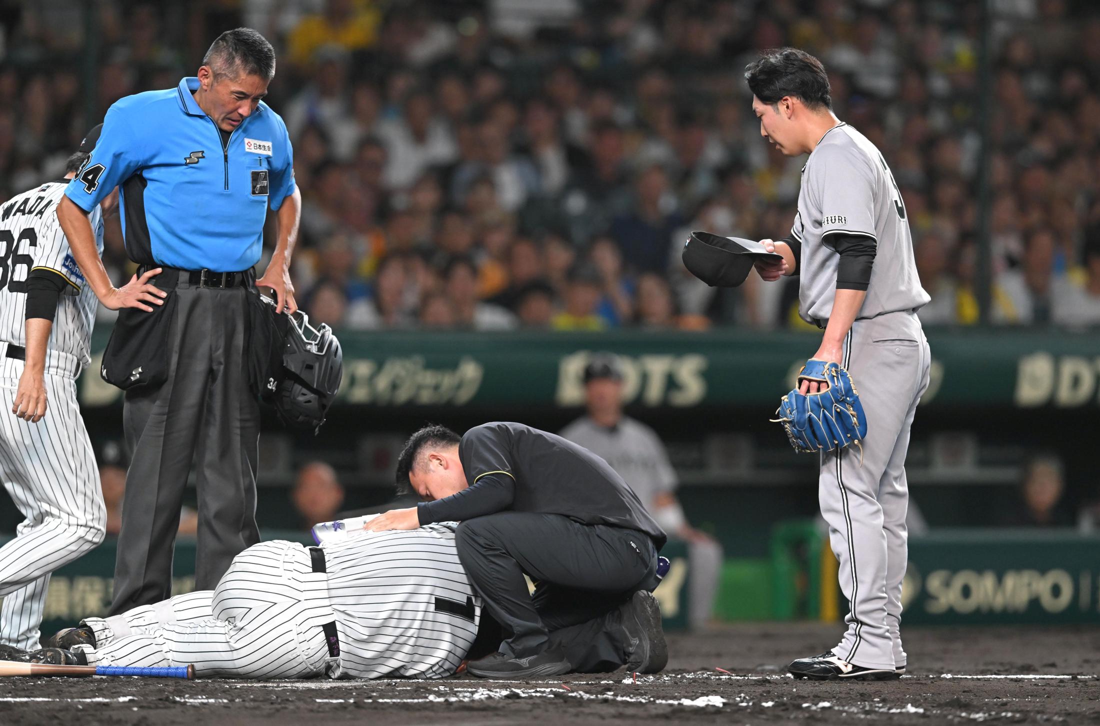 巨人 赤星優志に寄り添った坂本勇人 森下への死球で怒号飛び交う中 巨人 赤星優志に寄り添った坂本勇人 森下への死球で怒号飛び交う中