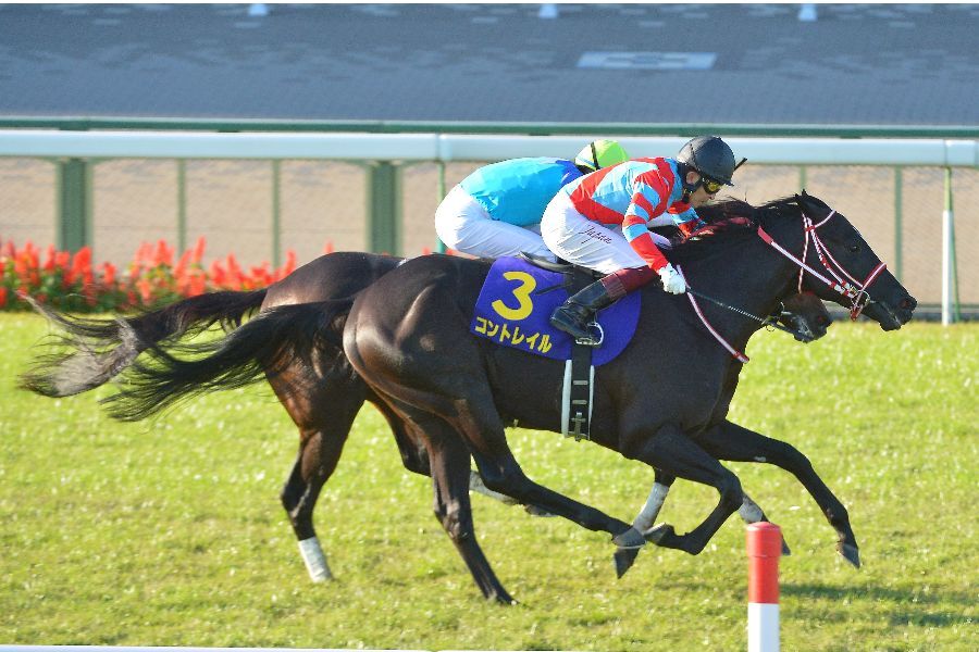 種付頭数「185→90」に競馬ファン落胆 「仕方ないか」「逆襲を期待