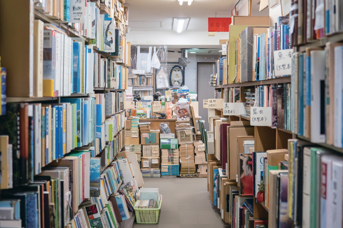 神保町】古書店・鳥海書房で見つける植物にまつわる本｜植物図譜編