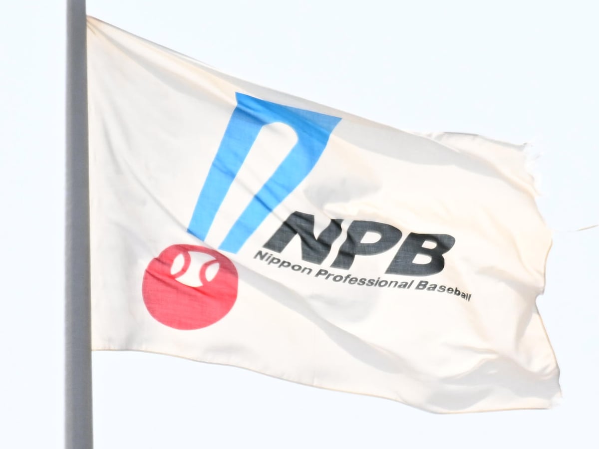 阪神・藤川監督が提案中の打者用プロテクター導入は検討中 NPBの中村