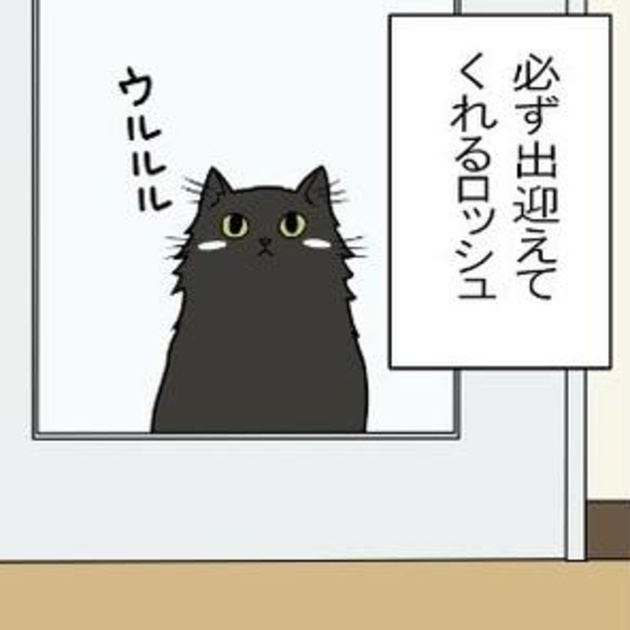 黒猫の災難】「黒くてわからんのよ」暗闇に紛れる黒猫は踏まれがち