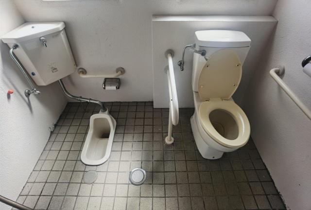 《娘が“漏れる”と泣き出しそうに》女性トイレの大行列、空いている「和式」を誰も使わない現実…「うんこ座りができてエラい」と言われた母親の複雑な胸中（NEWSポストセブン） - Yahoo!ニュース