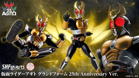 S.H.Figuarts（真骨彫製法） 仮面ライダーアギト グランドフォーム