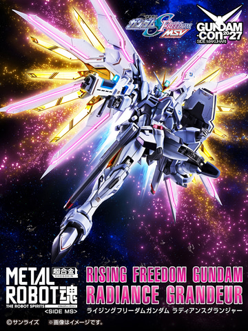 機動戦士ガンダム SEED FREEDOM MSV」より「METAL ROBOT魂 ＜SIDE MS