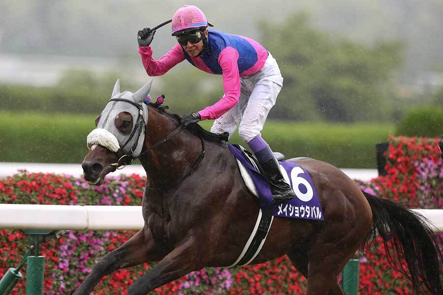 悲願Vへ凱旋門賞枠順決定、競馬ファン「うげぇ」「なんで2頭とも