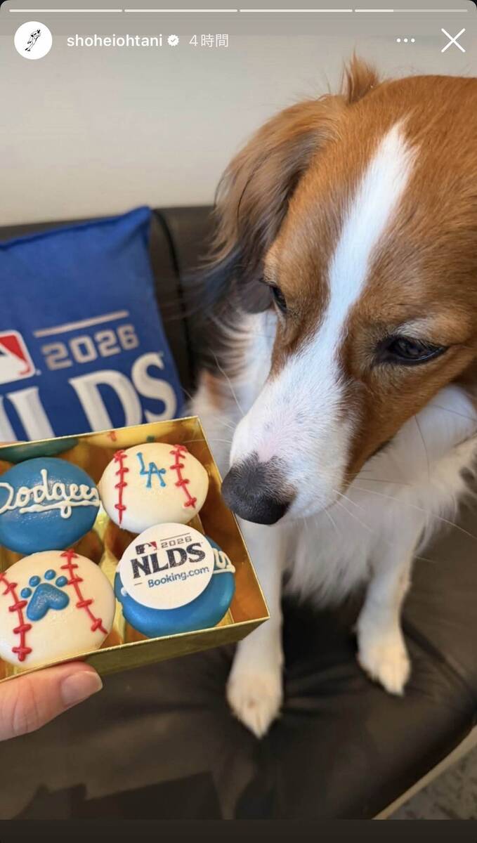 大谷翔平、愛犬デコピンの最新ショットを公開 特製おやつをジッと凝視