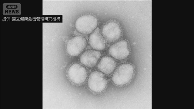 インフルエンザ早期の流行　専門家「コロナでの免疫状態の変化が影響」（テレビ朝日系（ANN）） - Yahoo!ニュース