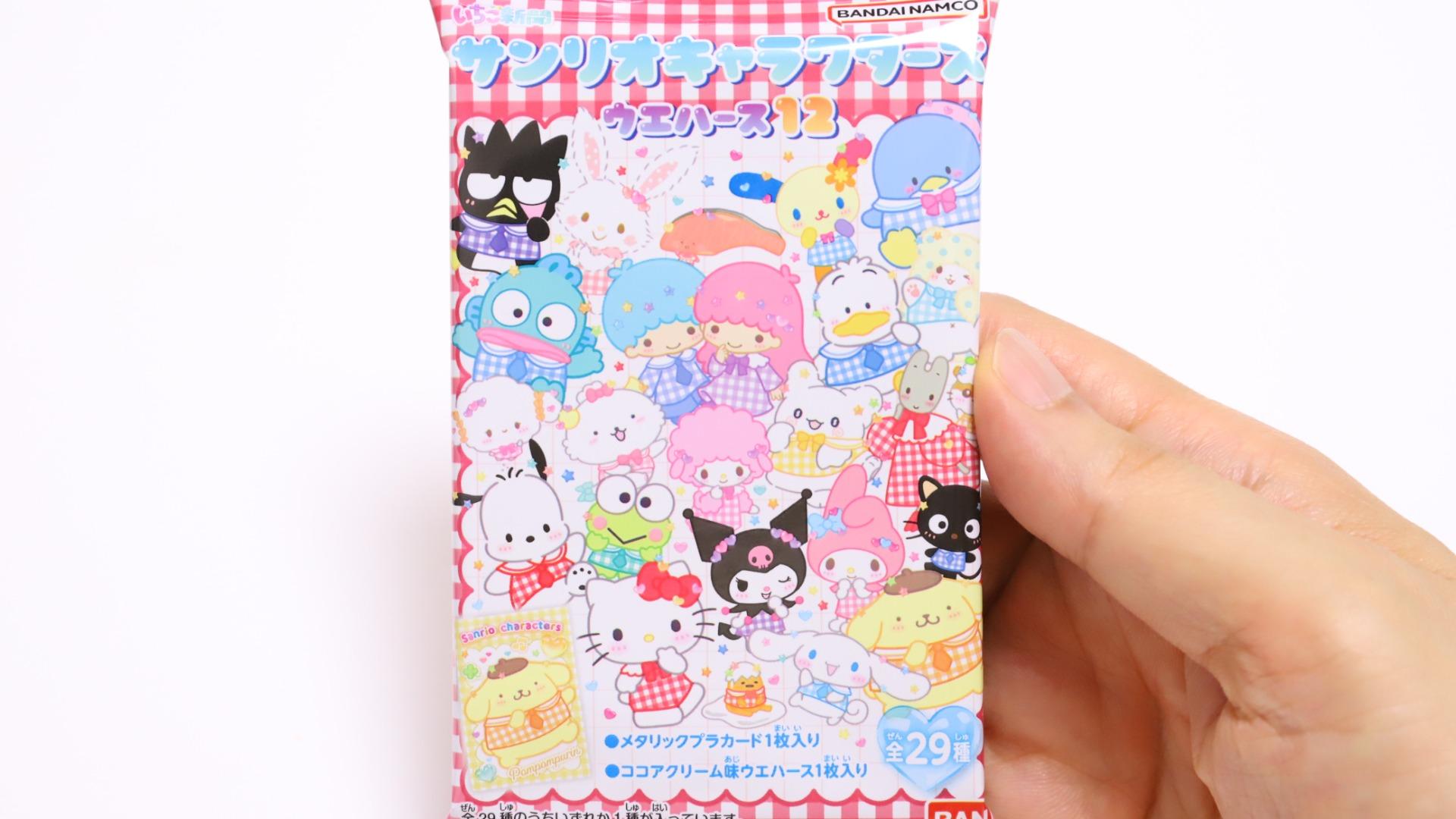 サンリオキャラクターズ サンリオ カード コンプリート 29種