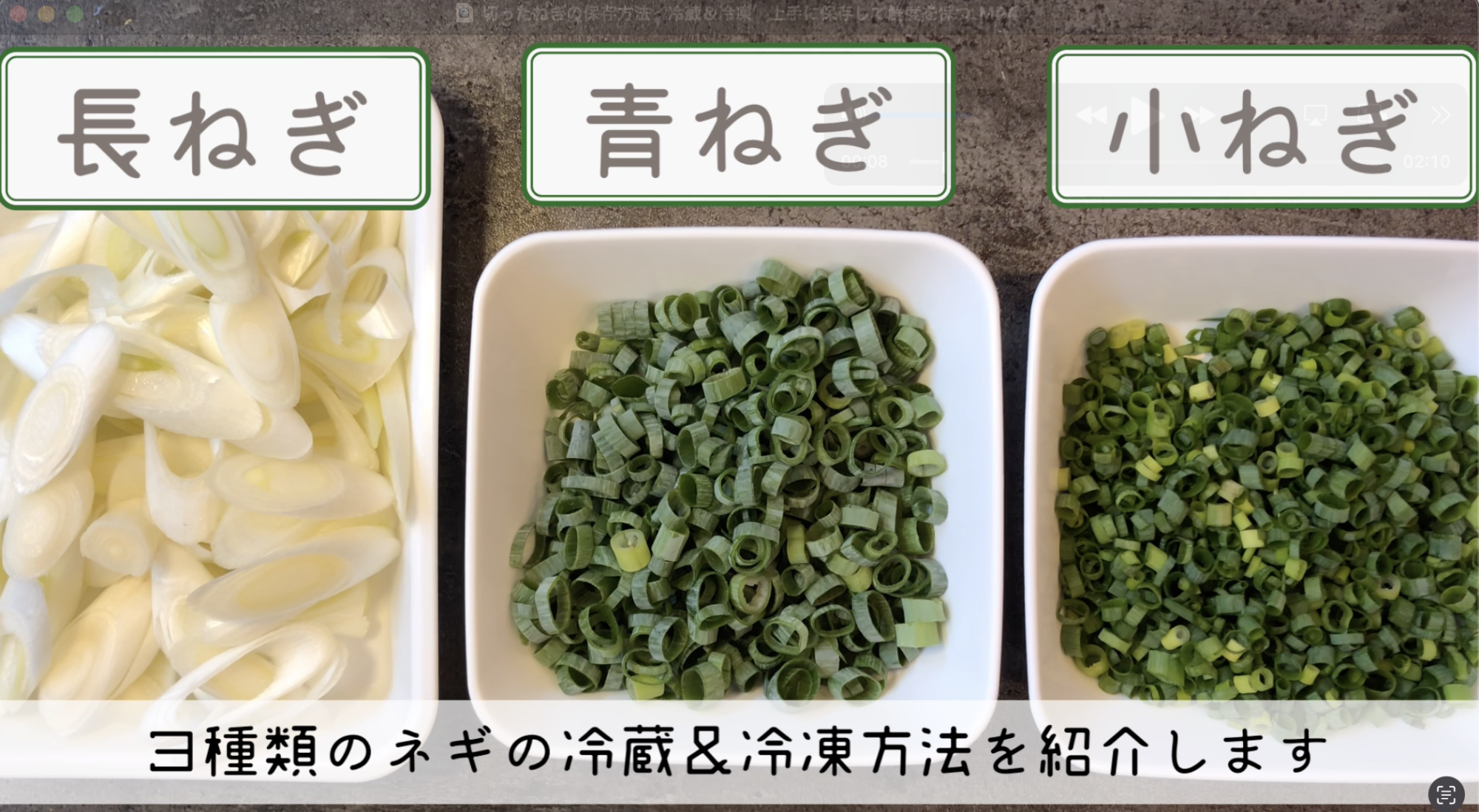 ネギ 保存 方法