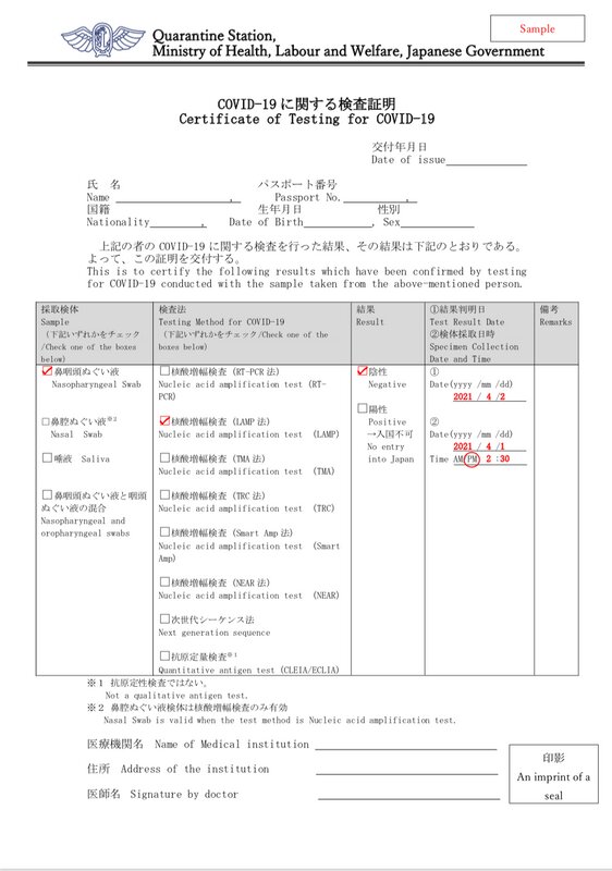 厚生労働省が指定する所定のフォーマット（記入一例）。（スクリーンショットは筆者が作成）