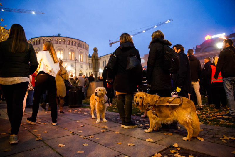行進デモには毎年多くの犬も参加する　Photo: Asaki Abumi