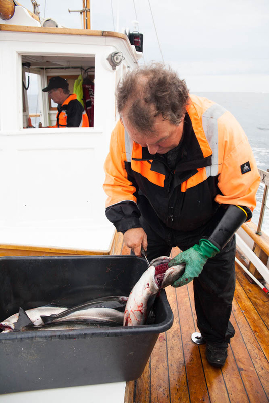 筆者が出会った漁師らは「オイルなんかはいらない。魚が心配」と口を揃えた　Photo: Asaki Abumi