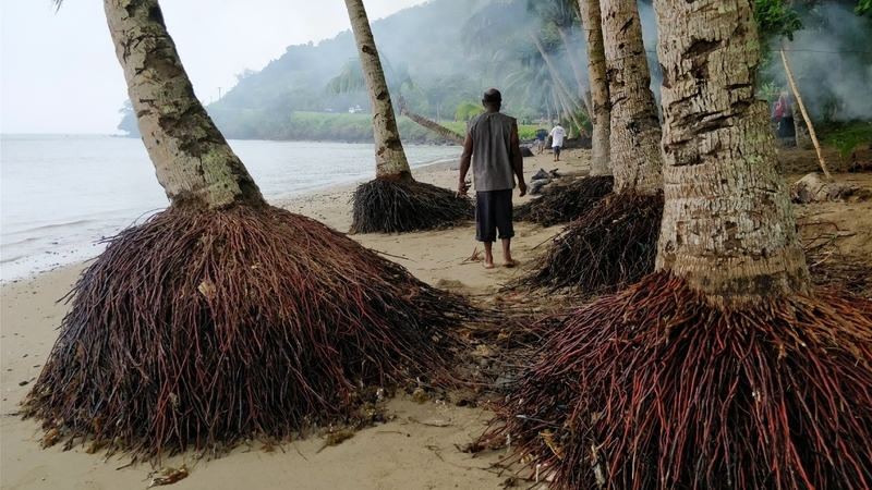 クリドゥラニ氏が住むNamatakula村。気候変動に伴う海面上昇により海岸侵食が起きた　Photo:Samuela Kuridrani