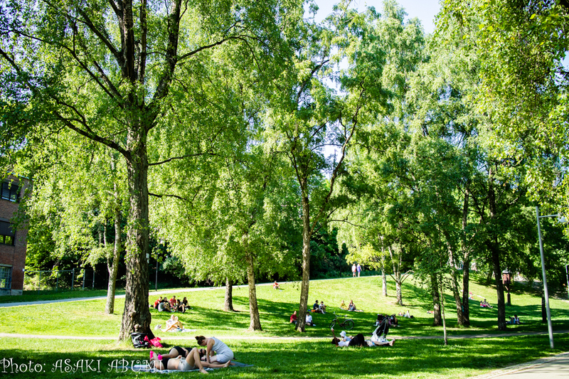 オスロの公園で日光浴する人々 Photo: Asaki Abumi