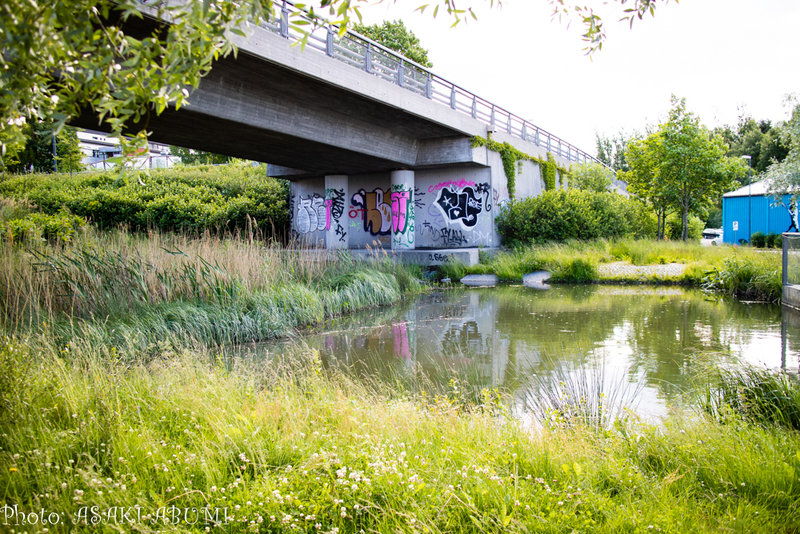 環境のために、水路も変化する　Photo: Asaki Abumi