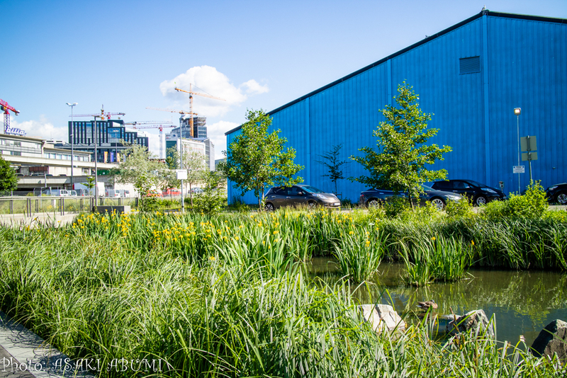 灰色の建物と、緑色の自然、青い空のコントラスト Photo: Asaki Abumi