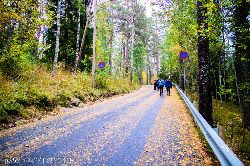 駅から森の中にある湖へと歩く。秋で紅葉が始まっている　撮影：あぶみあさき
