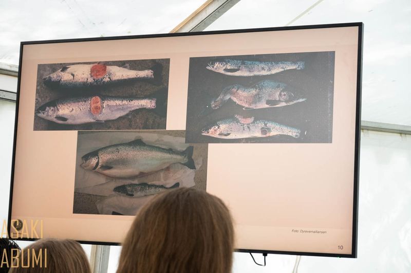変形した魚など、養殖サーモン産業が引き起こす問題が説明される