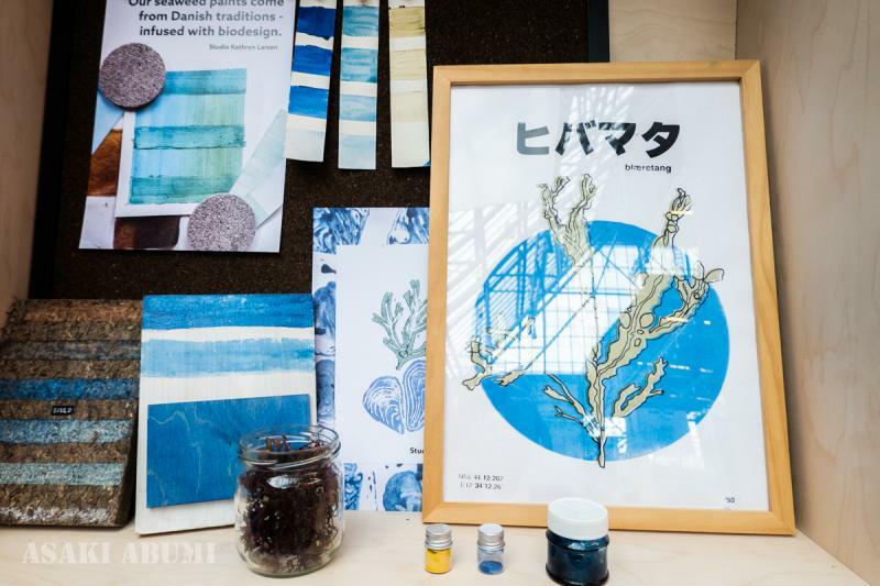 世界中から建築家や専門家が集まる国際会議で、海草の種類「ヒバマタ」という日本語の文字が会場で目に付く。右側にあるのは海藻塗料　筆者撮影