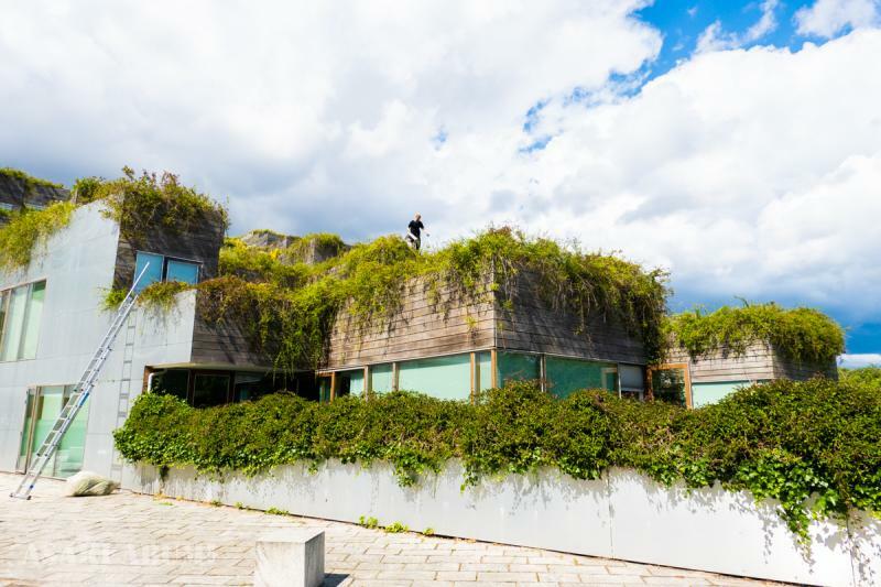 デンマーク建築界を代表するビャルケ・インゲルスの設計事務所「BIG」が手掛けたアパート「The Mountain」。山のような設計で、屋上庭園では住民がガーデニングを楽しんでいた　筆者撮影