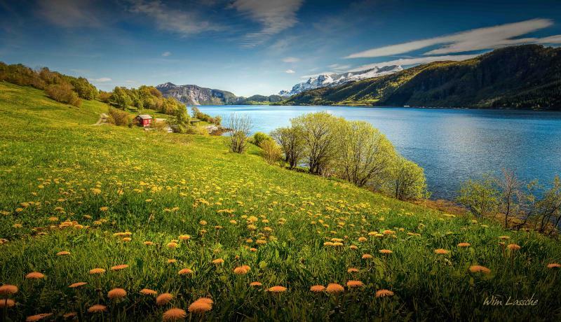 フォルデ・フィヨルドはノルウェー西部で最も美しく豊かなフィヨルドのひとつだ　写真：Wim Lassche