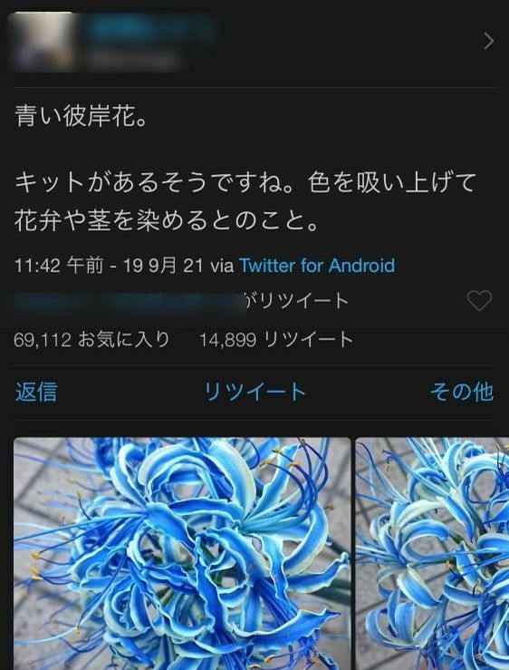 Twitterでバズる鬼滅の刃 青い彼岸花 を作れる染色キットは 中小企業の知恵の結晶だった 秋元祥治 個人 Yahoo ニュース