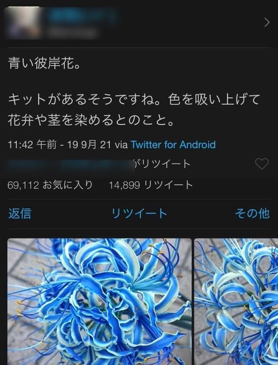 Twitterでバズる鬼滅の刃 青い彼岸花 を作れる染色キットは 中小企業の知恵の結晶だった 秋元祥治 個人 Yahoo ニュース Twitterでバズる鬼滅の刃 青い彼岸花 を作れる染色キットは 中小企業の知恵の結晶だった 秋元祥治 個人 Yahoo ニュース