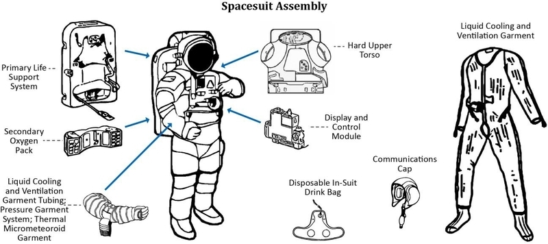 船外活動ユニット（EMU）の構造。胴体部の部品がハード・アッパー・トルソ（HUT）。Credit: NASA
